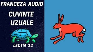 Franceza AUDIO  12   Cuvinte uzuale in franceza  Franceza in timpul somnului 2019 [upl. by Ok392]