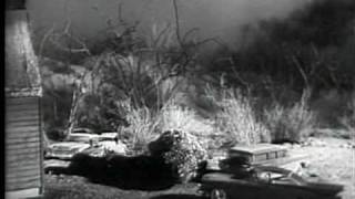 The Giant Gila Monster movie trailer [upl. by Anemolihp153]