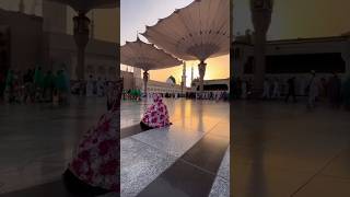 Beautiful evening View of Masjid ul Nabawi❣️masjidnabawi shortsyoutube madinasharif umbrella [upl. by Belva]