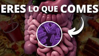 Las bacterias de tu intestino afectan a tu cerebro [upl. by Ayama]