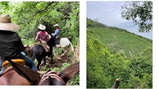 VIVÍ ALGO EXTREMO POR ENTRE BRECHAS Y VEREDAS DE TEGORIPA A SURUTATO 🌲🤠🌳🐴🎥 [upl. by Einot]