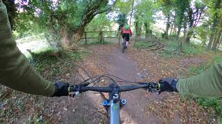 Wendover woods MTB singletrack edit 2  Riding through Autumn leaves on my Cannondale  mtbtrails [upl. by Yerg599]