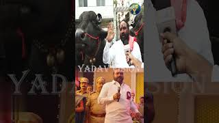 Baahubali Dunna Laddu Yadav in Skanda Movie  స్కంద మూవీ లో బాహుబలి దున్న లడ్డు యాదవ్  sadar [upl. by Yanej]