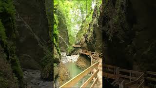 Alploch Schlucht  Dornbirn  Österreich nature austria shorts [upl. by Westbrook111]