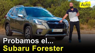 Subaru Forester 2022 Prueba  Review en español  Autoscout24 [upl. by Paul]