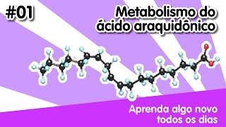 AANTD 01 Metabolismo do Ácido Araquidônico [upl. by Ramon]