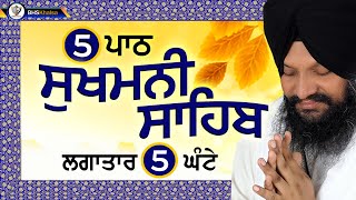 5 ਪਾਠ ਸੁਖਮਨੀ ਸਾਹਿਬ  सुखमनी साहिबSukhmani Sahib  Bhai Harcharan Singh Khalsa Hazoori Ragi [upl. by Yirinec]