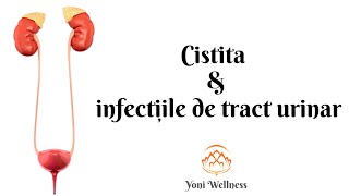 S2 Ep 56  Cistita ṣi infecțiile de tract urinar  Simptome  Diagnostic  Tratament  Prevenție [upl. by Ellesij541]