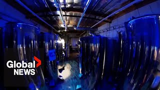 Inside a cryonics facility preserving terminallyill people and pets to wake up in the future [upl. by Nylrebmik]