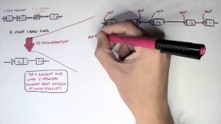 Immunology  Antibody Somatic VDJ Recombination II [upl. by Hadrian]