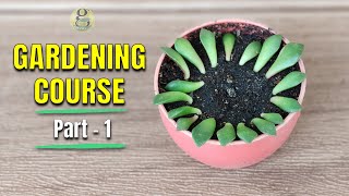 COMPLETE GARDENING COURSE – PART 1  GARDENING FOR BEGINNERS  LEARN GARDENING [upl. by Arde]