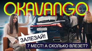 И КОМУ ТЕПЕРЬ НУЖЕН МИНИВЭН Обзор доступного GEELY Okavango 2024 [upl. by Esaj]