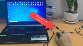 How To Fix USB Mouse Not Working on Windows 10 [upl. by Kirkwood]