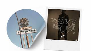 Glockenbach Better Days x Avicii Wake Me Up Mashup [upl. by Oakley]