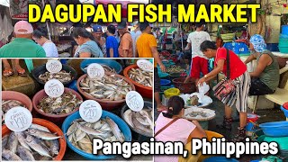 DAGUPAN Philippines  Morning SEAFOOD MARKET SCENE  Magsaysay Fish Port 2023 Prices  PANGASINAN [upl. by Monk]