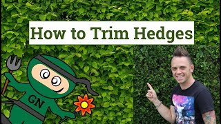 How to cut amp trim hedges the ultimate guide for perfect garden hedges [upl. by Kally]