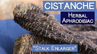 Cistanche Stem Famous Herbal Aphrodisiac and quotStalk Enlargerquot [upl. by Buatti918]