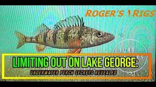 Limiting Out on Lake George Underwater Perch Secrets Revealed [upl. by Ennirac]