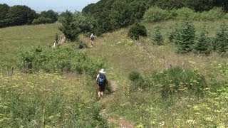 Le chemin de Compostelle une route vers soi [upl. by Aretina681]