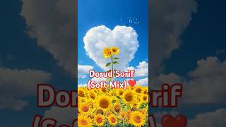 Dorud SorifSoft Mix❣️shortvideo shorts duet dua surah mizanurrahmanazhari islamicstatus [upl. by Risteau]