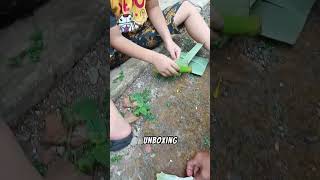 Reaksi Ara Dan Bagas Liat Kotoran Ulat Daun Pisang Yg Di Buka Nenek Baik Bukain Pa Aku Jijik 💩🐛🤷‍♂️ [upl. by Nowed]