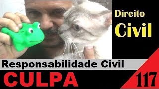 Direito Civil  Aula 117  CULPA Elementos da Responsabilidade Civil É isso [upl. by Rowena]