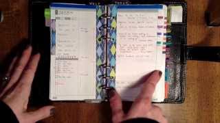 Focus On The Daily Pages DIYFish Lifemapping Inserts [upl. by Atinnod532]