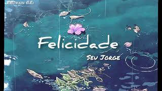 Felicidade  Seu Jorge legendado [upl. by Larcher814]