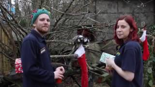 Longleat Christmas Message  2016 [upl. by Infeld]