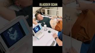 Bladder Scan Clinical Skills  LevelUpRN [upl. by East39]