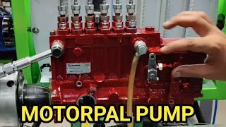 MOTORPAL PUMP TESTING  MOTORPAL INLINE PUMP TESTING  GENSET DIESEL PUMP TESTING [upl. by Anivel308]