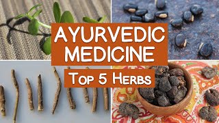 Ayurvedic Medicine and the Top 5 Herbs of Ayurveda [upl. by Burris436]