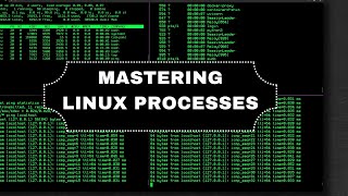 Understanding Linux Processes in 8 minutes [upl. by Noli131]