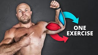 Best Bicep Exercise for Size [upl. by Boykins]