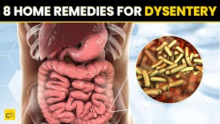 8 Home Remedies for Dysentery  MUST WATCH  Credihealth dysentery health [upl. by Euqirat754]