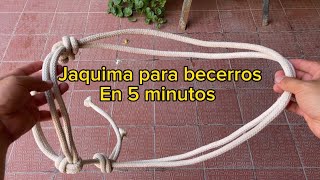 Bonita jáquima para becerros en 5 minutos [upl. by Asoj]