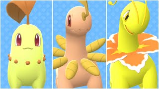 FULL CHIKORITA EVOLUTION TEAM Shiny Chikorita Shiny Bayleaf Shiny Meganium [upl. by Harmonie677]