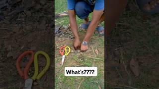 Survival Skills SIMPLE But USEFUL and Smart Idea in Forest survival camping forest bushcraft [upl. by Kalk79]