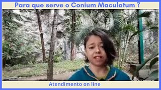 Para que serve o Conium Maculatum [upl. by Vitale]