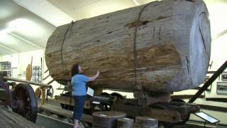 The Kauri Museum Matakohe Northland New Zealand  1 min 3 secs [upl. by Palla]