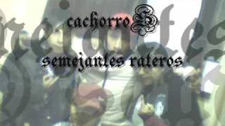 la cita los melodicos cachorros [upl. by Hatty]