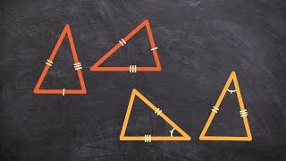 What is the SSS and SAS Congruence Theorems  Congruent Triangles [upl. by Minor]