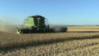 John Deere 9870 STS Combine  Harvesting High Yielding Feed Wheat [upl. by Buyer843]