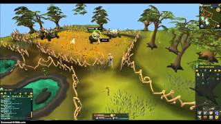 Runescape 3 Money Making Guide Tortoise Shells l 300k pHr [upl. by Launce]