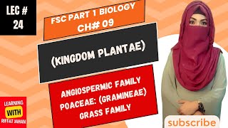 Ch09  Kingdom Plantae  Lecture  24  Angiospermic FamilyPOACEAE Gramineae Grass Family [upl. by Anah]