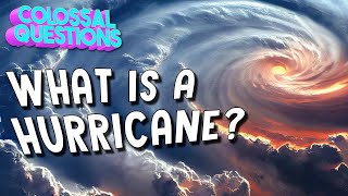 What is a Hurricane  COLOSSAL QUESTIONS [upl. by Medor607]