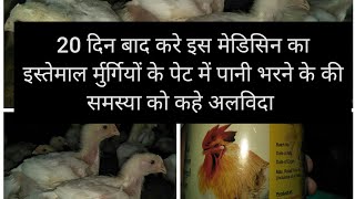 Ascites in broiler र्मुर्गियों के पेट में पानी भरने की समस्या और मेडिसिन [upl. by Ekihc431]