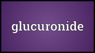 Glucuronide Meaning [upl. by Armyn]