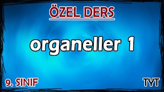 14 Organeller 1  Özel Ders 9 Sınıf [upl. by Ynaffik624]