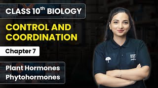 Control amp Coordination  Plant Hormones Phytohormones  Class 10 Biology Chapter 7  CBSE 2024 [upl. by Orsini]